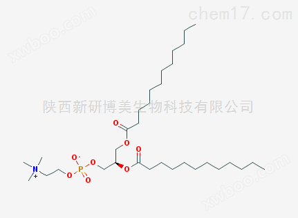 二花生酰基磷脂酰*DAPC|61596-53-0用途