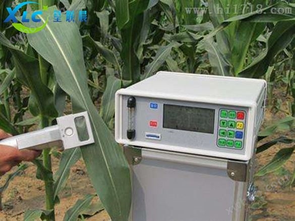 便携式植物光合作用测定仪XC-3051D生产厂家