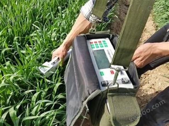 FS-3080H光合测量系统 植物光合作用测定仪