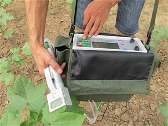 FS-3080H光合测量系统 植物光合作用测定仪