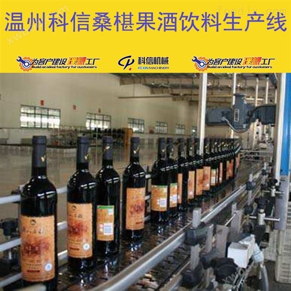 大型玻璃瓶装桑葚酒生产流水线设备价格|全自动桑葚果酒酿造设备厂家