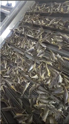 中亚地区鱼罐头生产设备* 乳品生产线