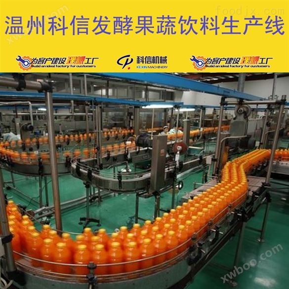 成套发酵果蔬汁饮料生产线设备厂家