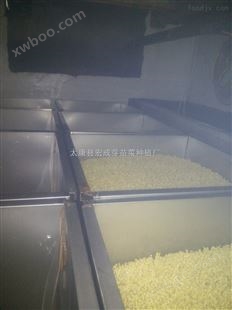 大型商用全自动豆芽机生产线 豆制品成套设备
