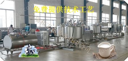 定做鲜奶生产工艺流程 乳品生产线