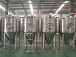 日产500L精酿啤酒生产线