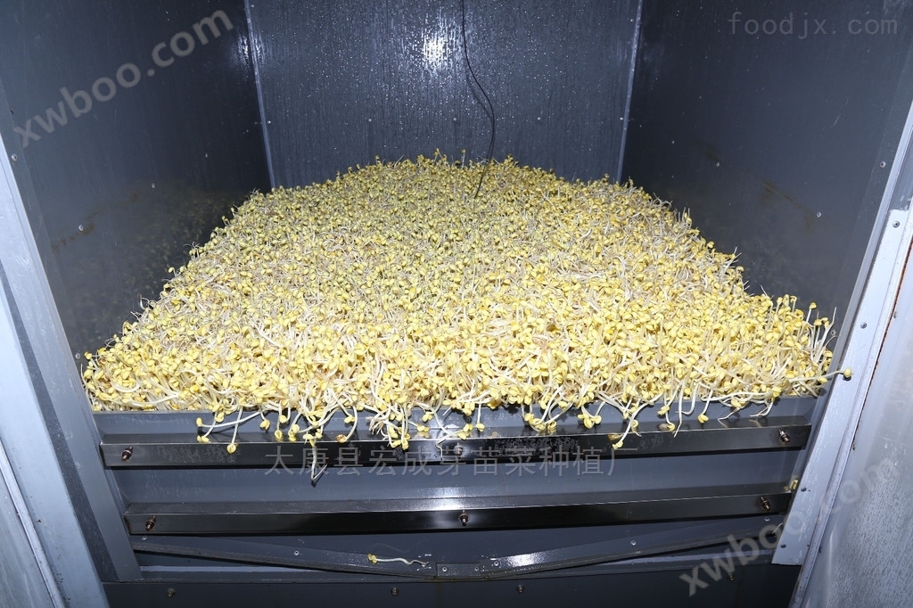 合肥日产1000斤全自动豆芽机厂家 豆制品成套设备