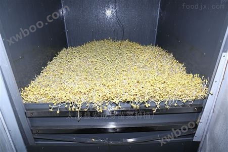 安徽日产1500斤全自动豆芽机批发价 豆制品成套设备