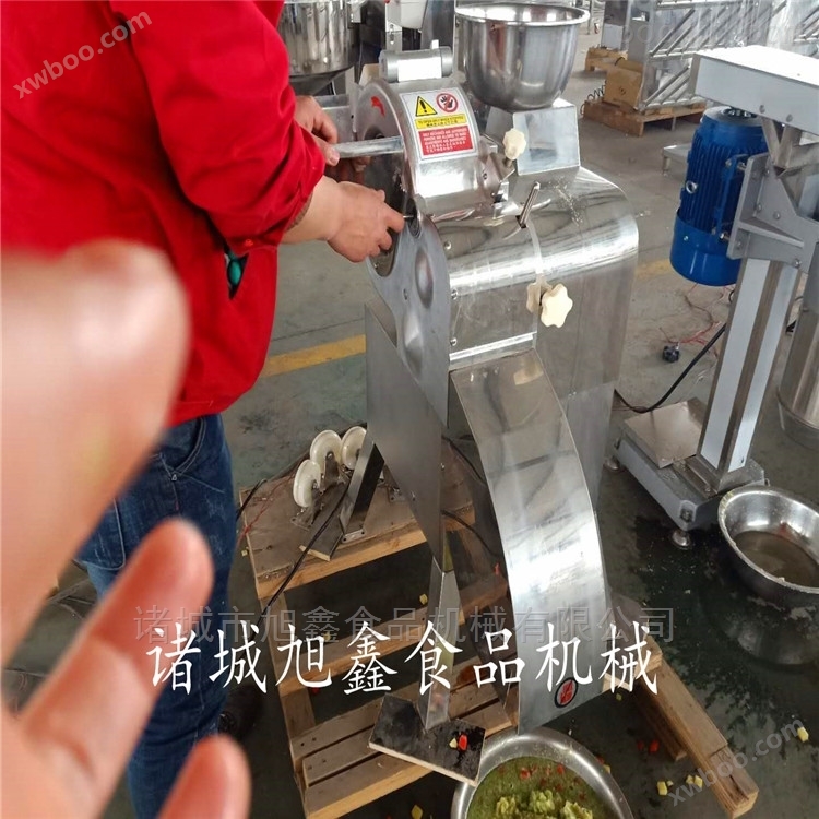 净菜大型切丁机 旭鑫牌中国台湾进口机