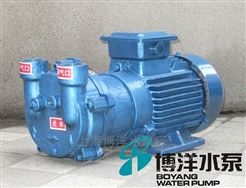 上海铸铁，不锈钢水环式真空泵