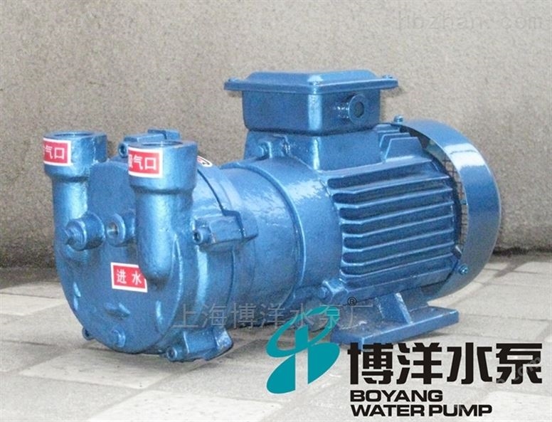 上海铸铁，不锈钢水环式真空泵