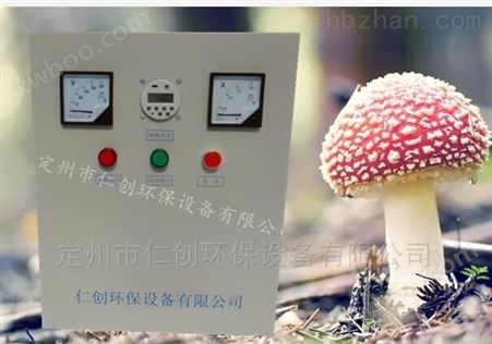 蠡县WTS-2A水箱自洁消毒器臭氧管配件