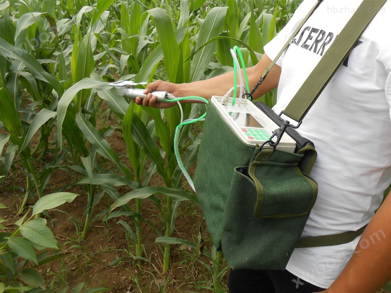 植物呼吸测定仪 植物生理生态仪器