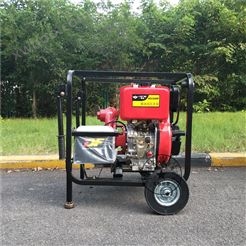 手推式单缸柴油机高压泵组