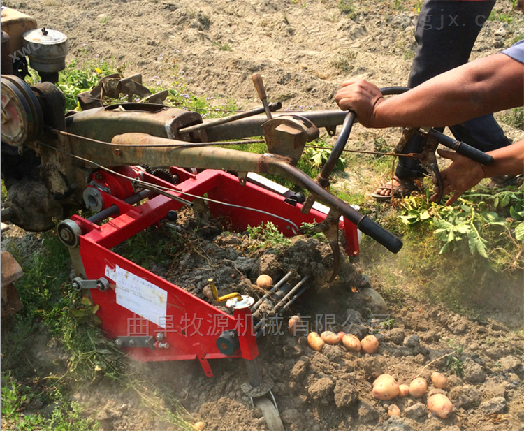 全自动土豆收获机新型自动挖土豆机器