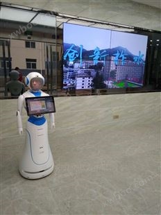 行政大厅机器人