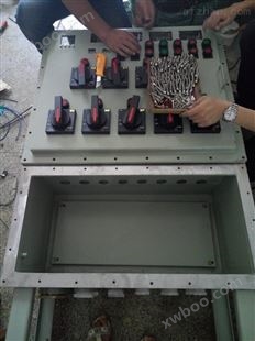 BXMD52-DIP粉尘防爆照明动力配电箱