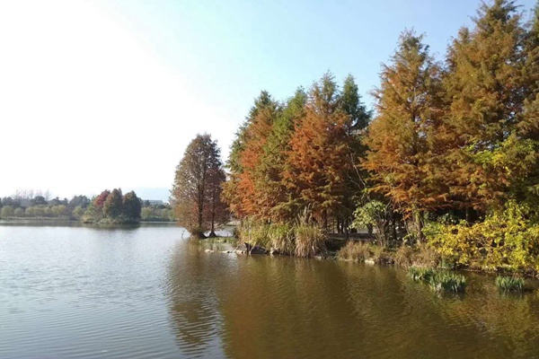 水利部召开2024年河湖管理工作会议