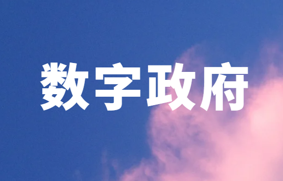 2025上半年数字政府相关政策回顾