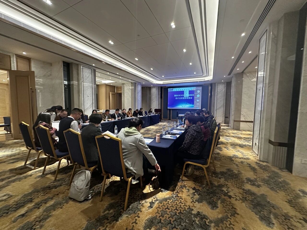 《油墨中可挥发性有机化合物(VOCs)含量的限值》实施情况统计分析报告审查会在沪隆重召开